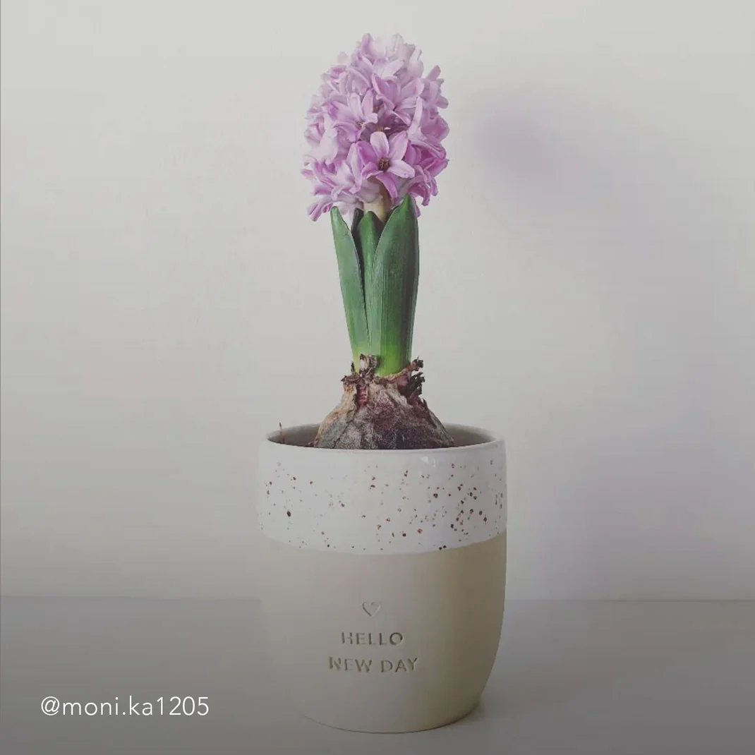 Becher_Hello-new-day_moni.ka1205