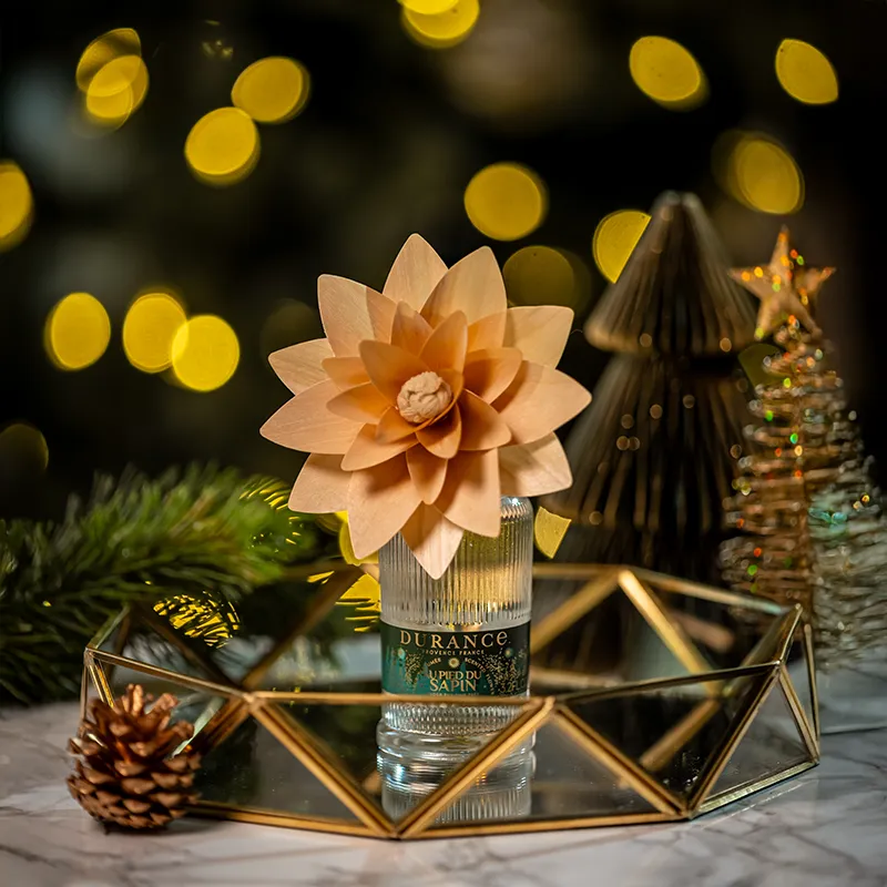 fleur-parfumee-au-pied-du-sapin